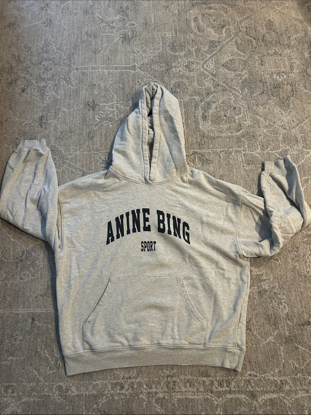 Anine bing hoodie